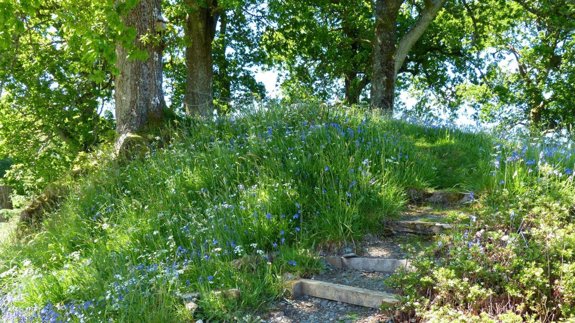 Blarghour Farm Cottages Ardchonnell 외부 사진